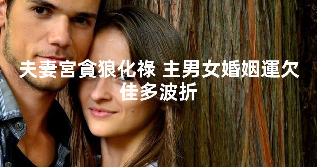 夫妻宮貪狼化祿 主男女婚姻運欠佳多波折